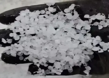 Pelet berekor akibat pisau yang terkelupas