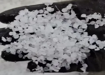 Pellets with tails caused by chipped knives